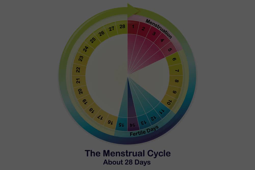 Using Cervical Mucus As A Fertility Tool Ferti·lily 