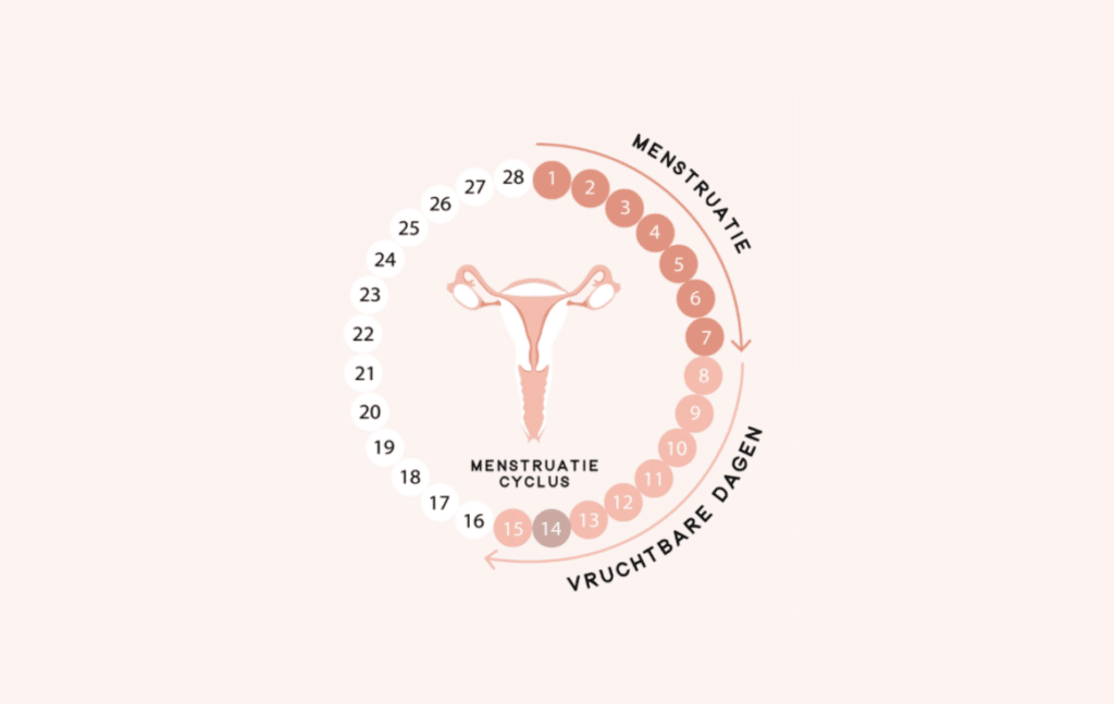 Wij kunnen je vruchtbare dagen voor jou berekenen