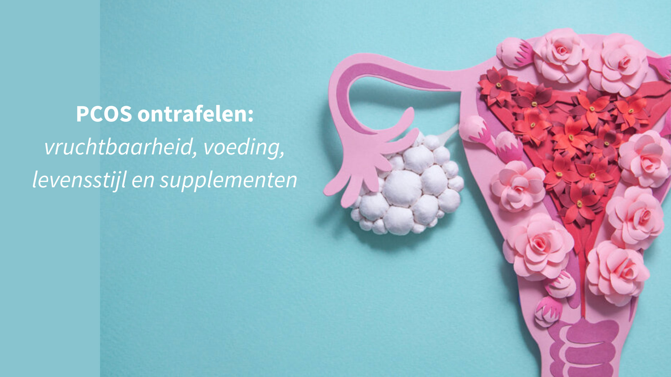 PCOS ontrafelen: vruchtbaarheid, voeding, levensstijl en supplementen